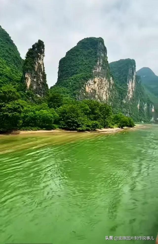 “拳”力以赴再踏征程，西安市拳击协会继往开谋发展！